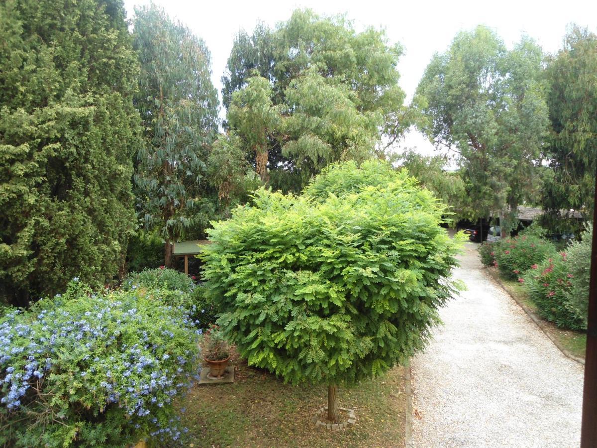 Le Pescine Vakantieboerderij Vada